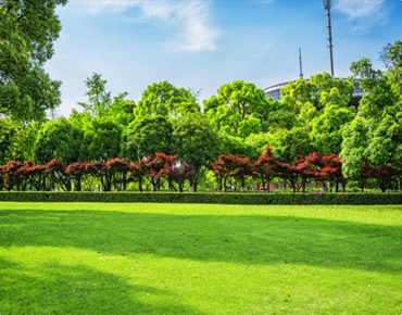 WE WON THE BEST LANDSCAPE COMPANY post thumbnail
